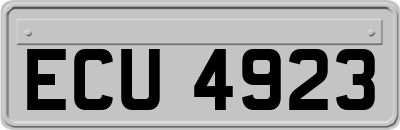 ECU4923