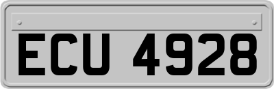 ECU4928