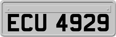 ECU4929