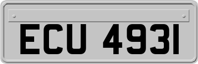 ECU4931