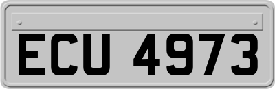 ECU4973