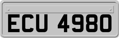 ECU4980