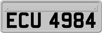 ECU4984