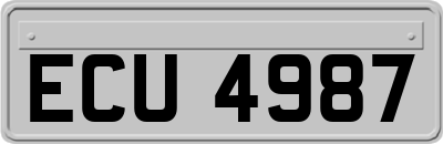 ECU4987
