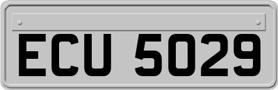 ECU5029