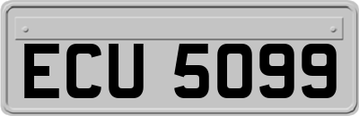 ECU5099