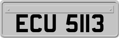 ECU5113