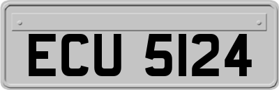 ECU5124