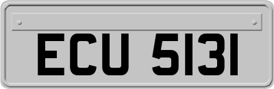 ECU5131