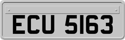 ECU5163