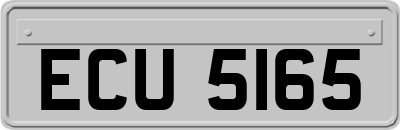 ECU5165