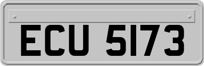 ECU5173