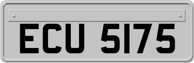 ECU5175