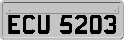 ECU5203