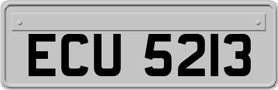 ECU5213