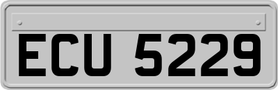 ECU5229