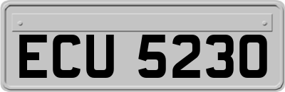 ECU5230