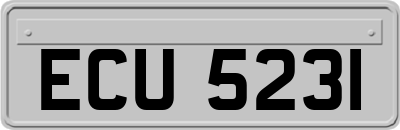 ECU5231