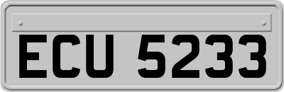 ECU5233