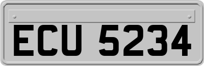 ECU5234