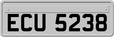ECU5238