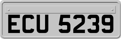 ECU5239
