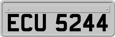 ECU5244
