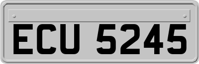 ECU5245