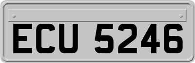 ECU5246