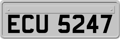 ECU5247