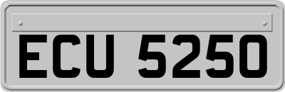 ECU5250