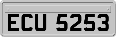 ECU5253