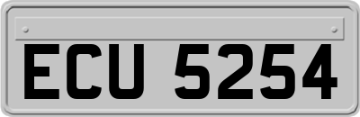 ECU5254