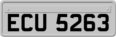 ECU5263