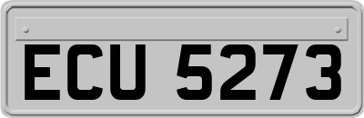 ECU5273