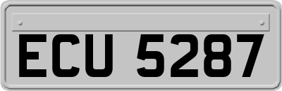 ECU5287