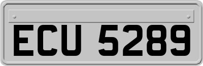 ECU5289