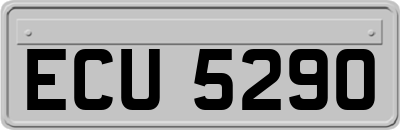 ECU5290