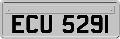 ECU5291