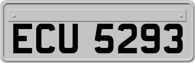 ECU5293