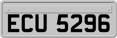 ECU5296