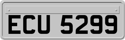 ECU5299