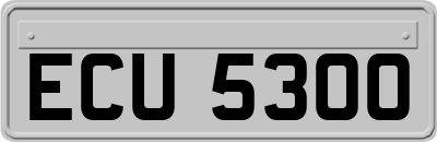 ECU5300