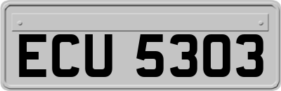 ECU5303