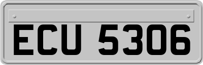 ECU5306