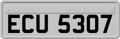 ECU5307