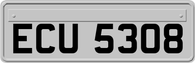 ECU5308