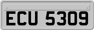 ECU5309