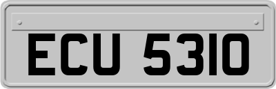 ECU5310