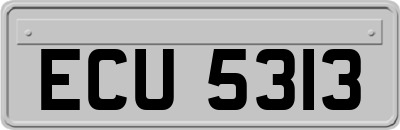 ECU5313